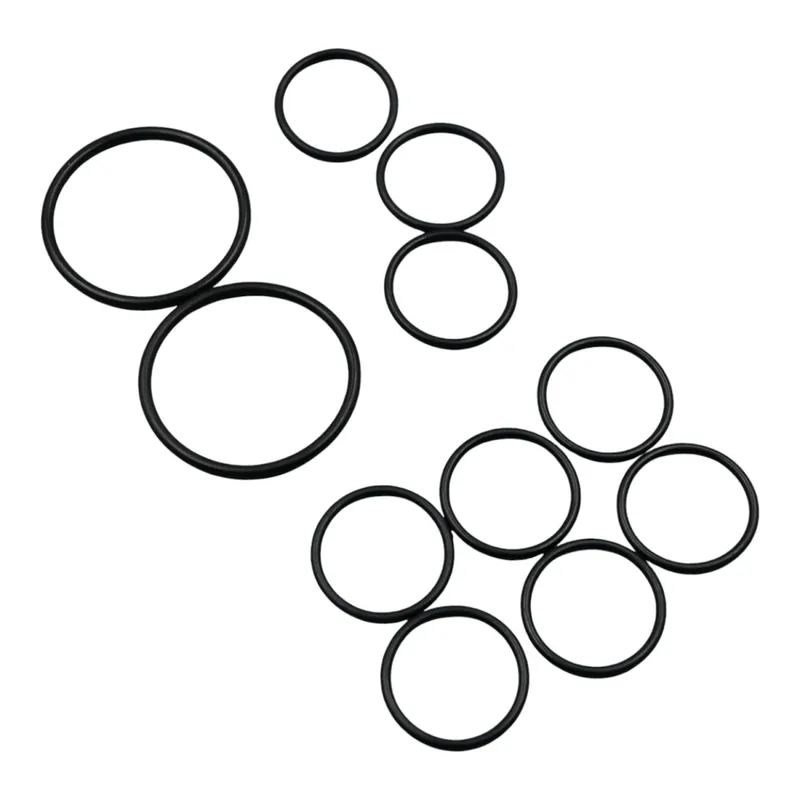 Saisonangebot Replacement gasket for the 4-LED Tritone diving lamp