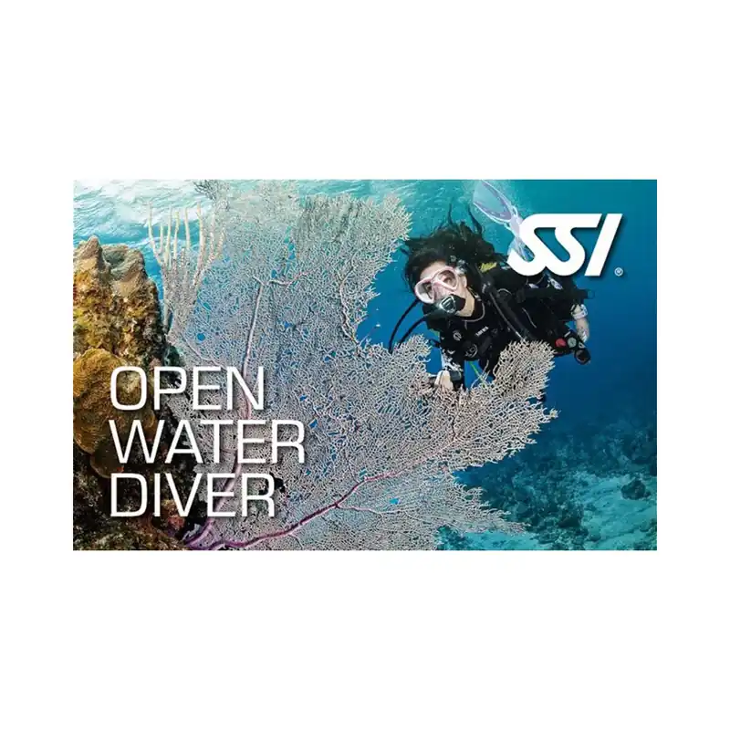Jetzt Bestellen VIP Tauchkurs Open Water Diver