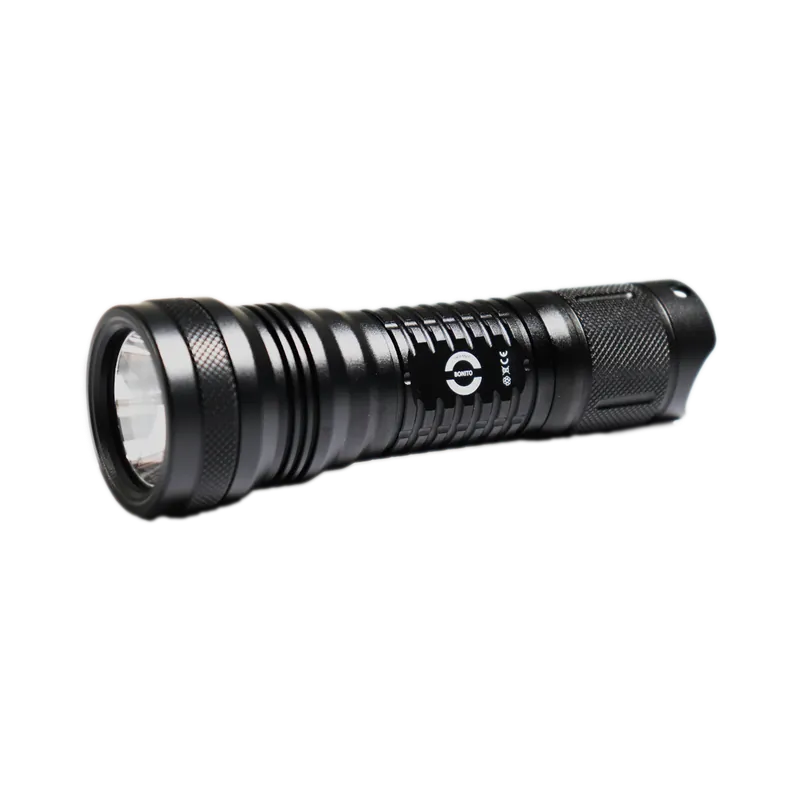 Dive Lamp Bonito Neuheit