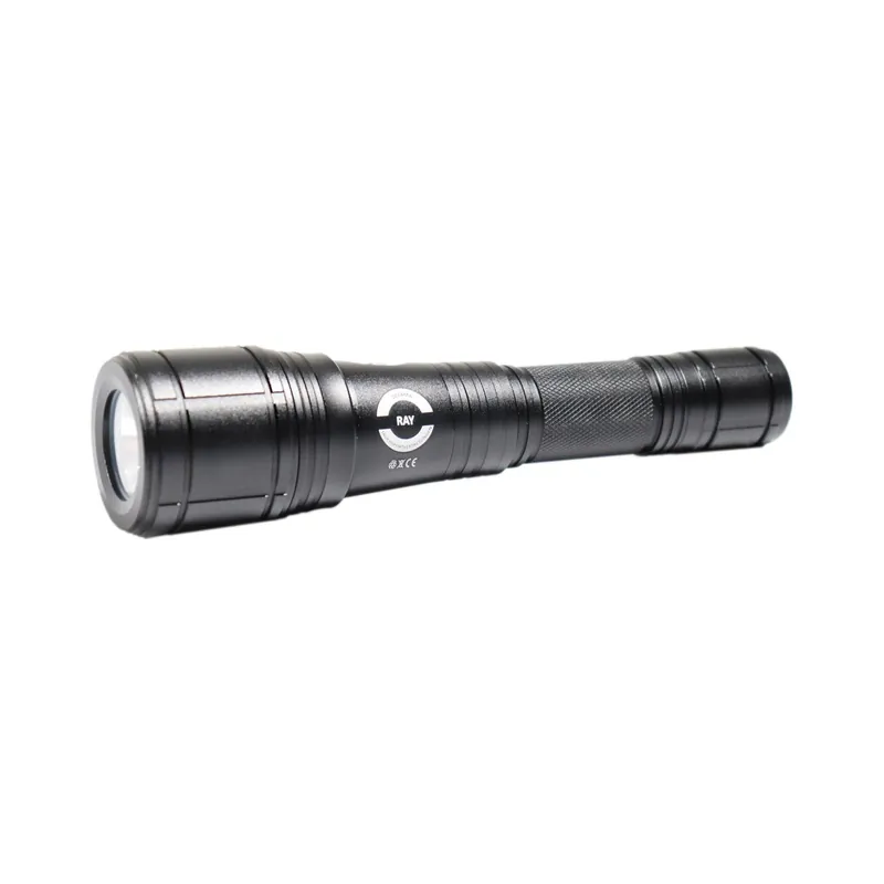 Expressversand Dive Lamp Ray