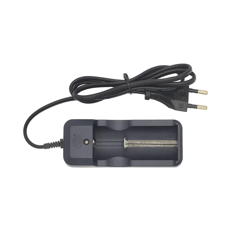 Finale Aktion Charger for Oceama batteries