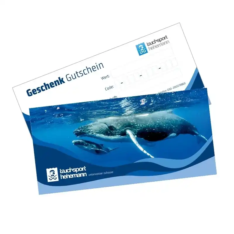 Neu Im Sortiment Gutschein - 100,- EUR