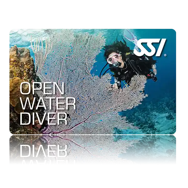 Neu Im Sortiment Open Water Diver (OWD) - Tauchbasenkurs