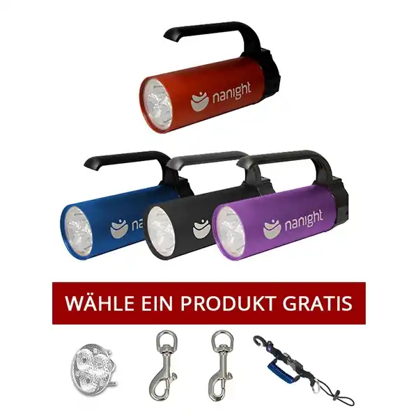 Aktuell Aktionsbundle - Nanight Sport 2 mit Ladeanschluss