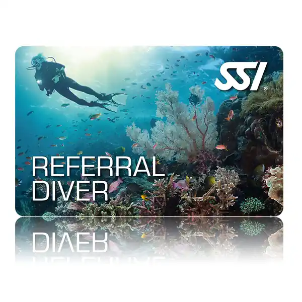 Nur Für Kurze Zeit Referral Diver - OWD Theorie & Pool Ausbildung