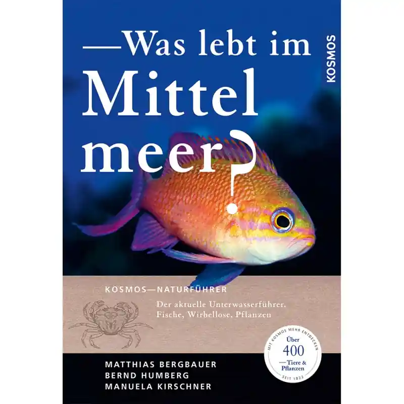 KOSMOS - Taschenbuch - Was lebt im Mittelmeer? Bestseller