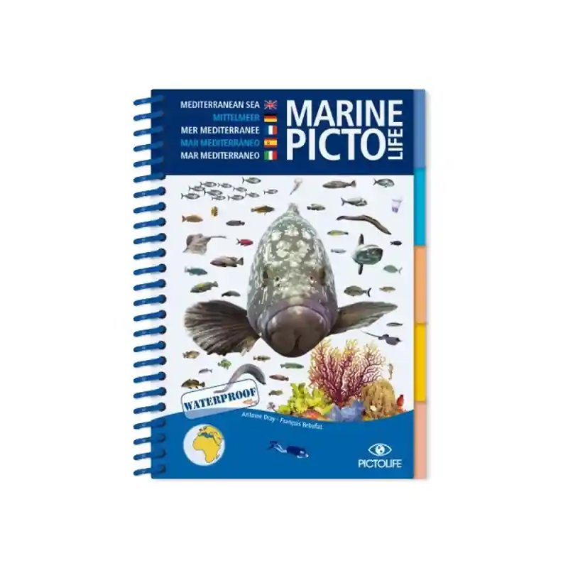 Preiswert Pictolife - Bestimmungsbuch - Mittelmeer