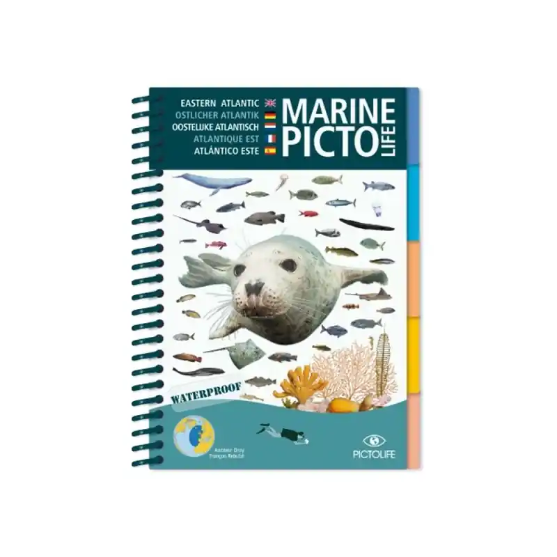 Top-Preis Pictolife - Bestimmungsbuch - Atlantik