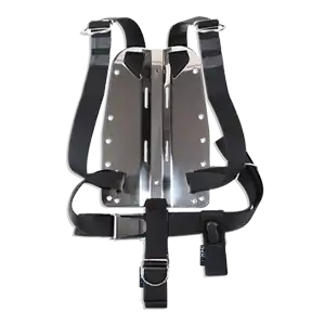 DIRZONE Backplate komplett KURZ Neue Ware