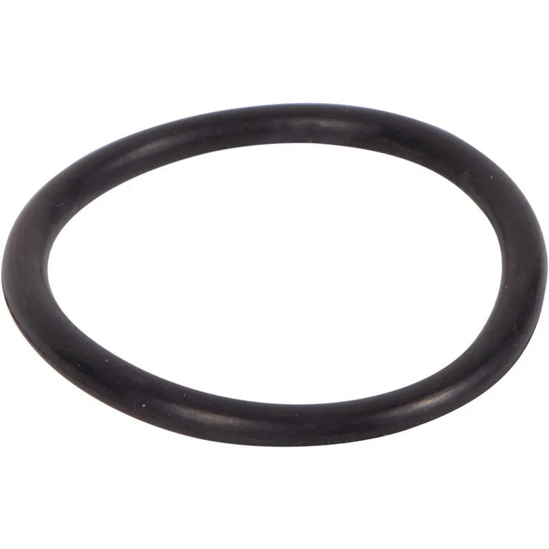 Schneller Versand Halcyon Inflator Sicherungs O-Ring (Ersatzteil)