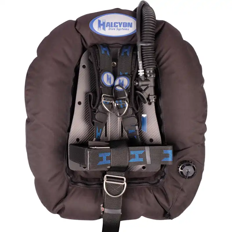 Billig Halcyon Evolve Pro BC System (Carbon + Cinch) Wing Set Winggröße 60 lbs (27,1 kg), Backplate Carbon Standard