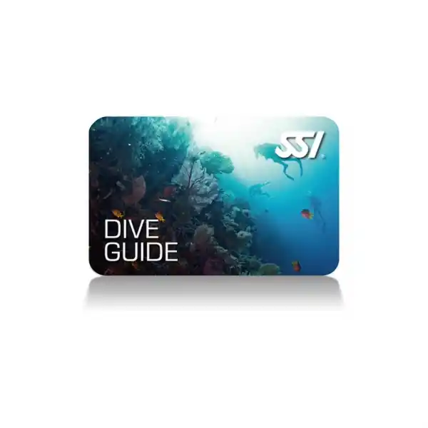 Wochenendangebot Dive Guide