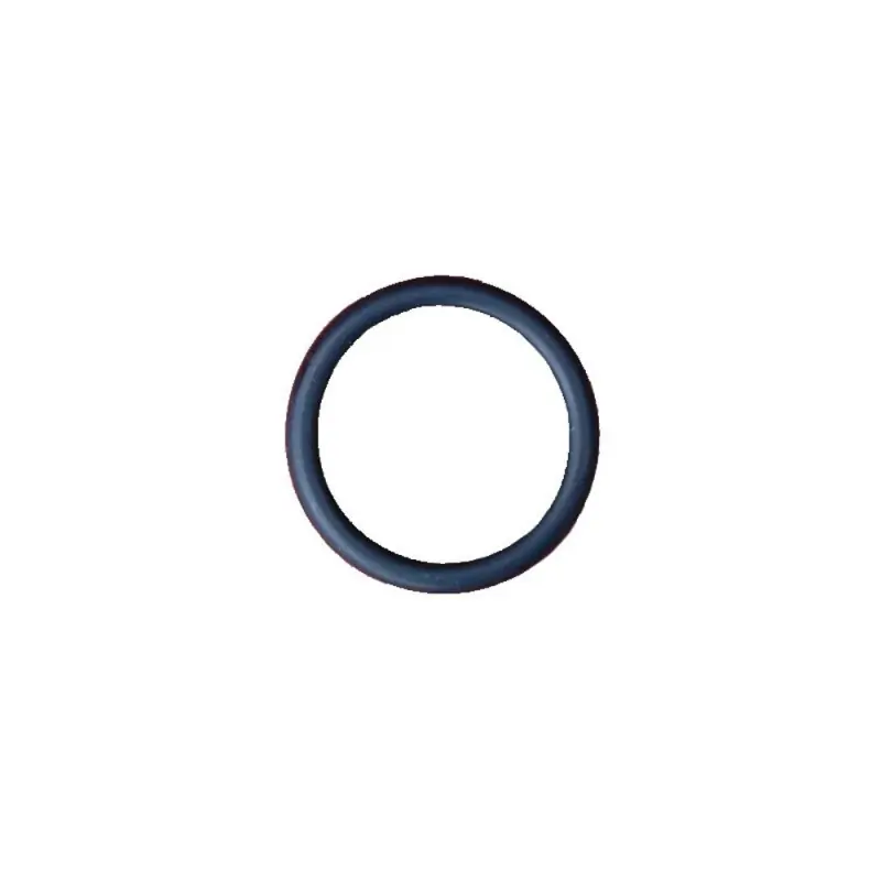 Polaris - O-Ring 25,0 x 3,5 für Flaschenventil Preiswert