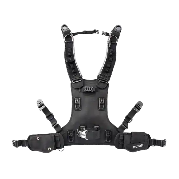 Knallerangebot Aqualung Rogue - Rückenplatte