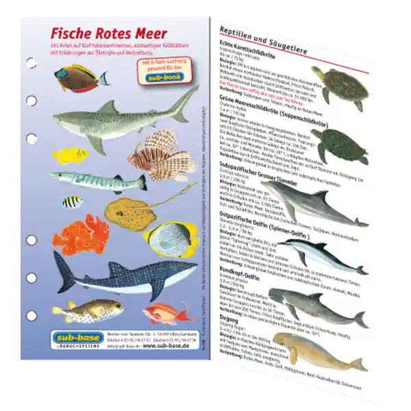 Fischkartenset Rotes Meer Beliebt