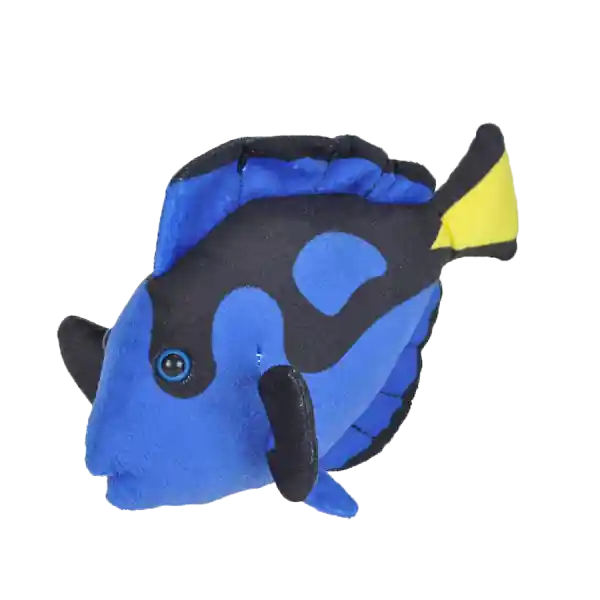Neu Im Sortiment Paletten-Doktorfisch - Dorie - 20 cm
