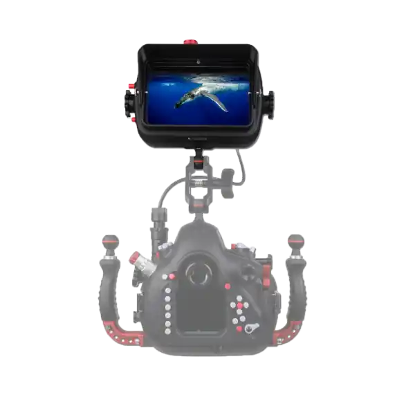 Hugyfot - Vision Standalone Monitor Highlight