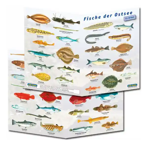 Direktkauf Fischfaltblatt - Ostsee