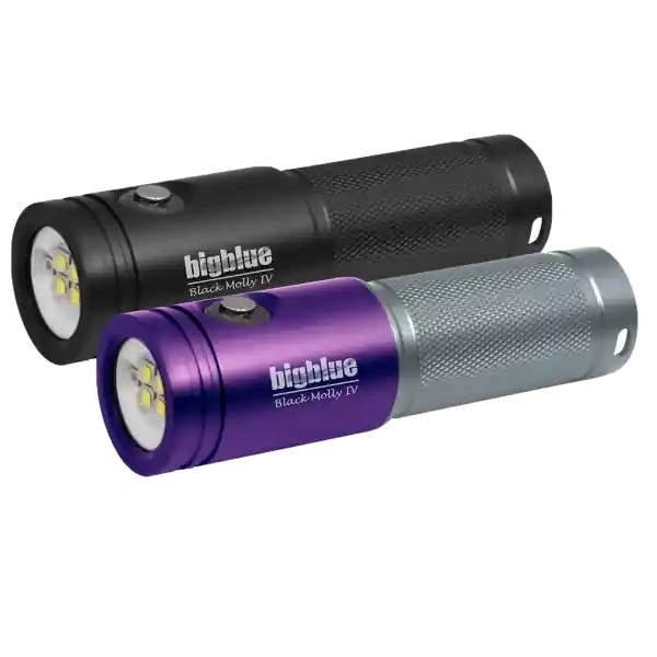 BigBlue Black Molly IV 1800-Lumen Video Light - Black Kracherpreis