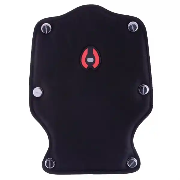 Hollis Back Plate Back Pad W/Bookscrews Solange Der Vorrat Reicht