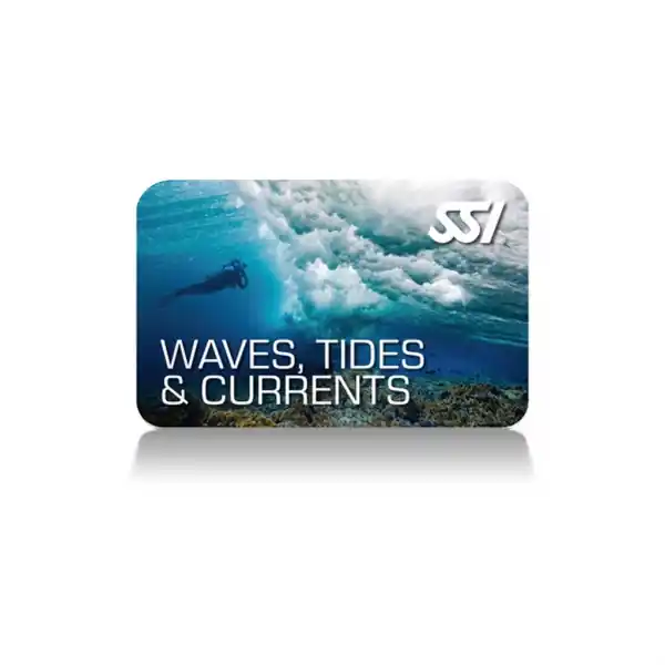 Preiswert Waves, Tides and Currents