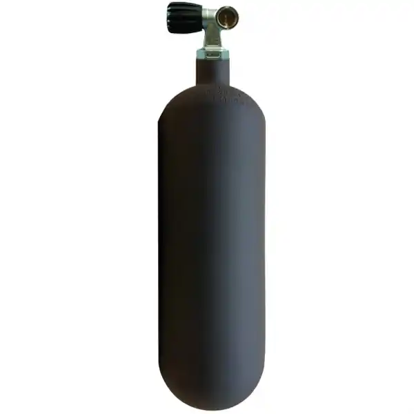 Polaris ESC Flasche 1L/200 bar mit Ventil - schwarz Sichere Zahlung