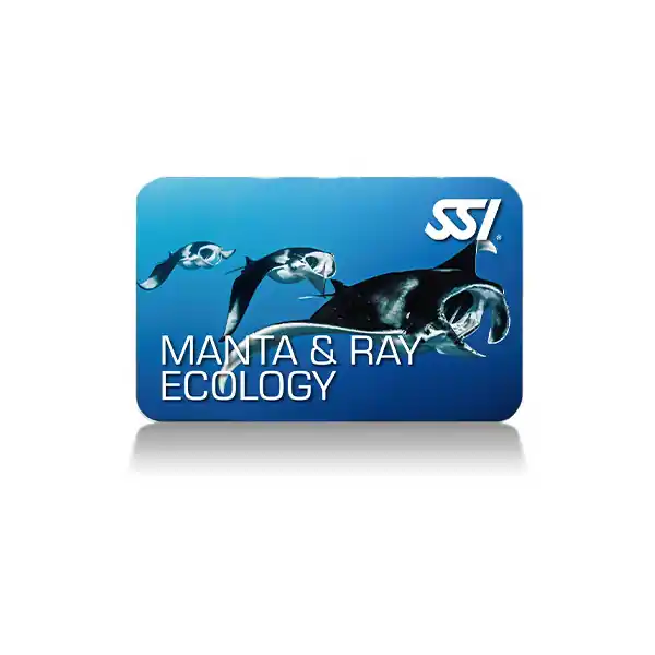 Markenware Manta Diver (Online-Kurs)