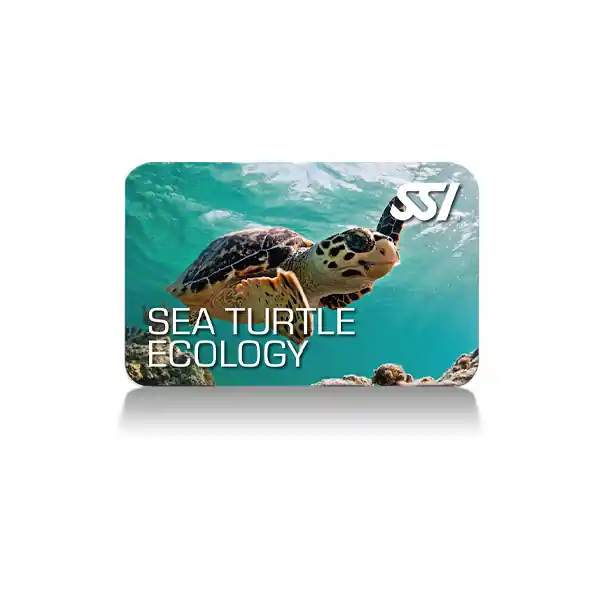 Turtle Ecology (Online-Kurs) Geprüft
