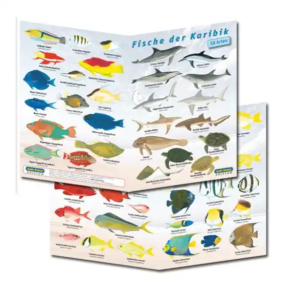 Fischfaltblatt Karibik Sale