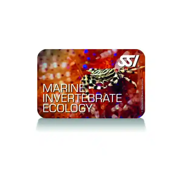 Top-Preis Marine Invertebrate Ecology (Online-Kurs)