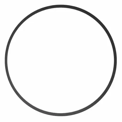Geprüft Ikelite - 0132.59 Ersatz O-Ring für DSLR & spiegellose Gehäuse (Type 1)