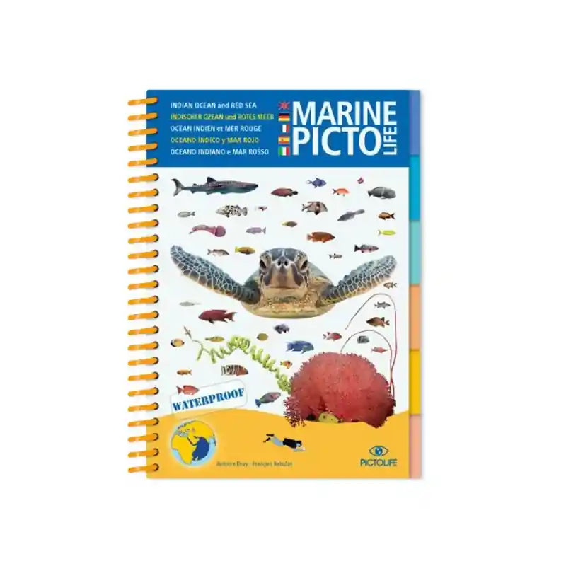 Markenware Pictolife- Bestimmungsbuch - Indischer Ozean / Rotes Meer