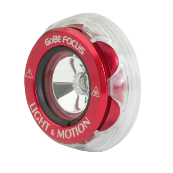 Gobe Focus Head Top-Seller