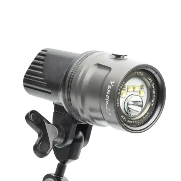 D - Venom 25 - 2500 Lumen - Restposten Preis Gesenkt