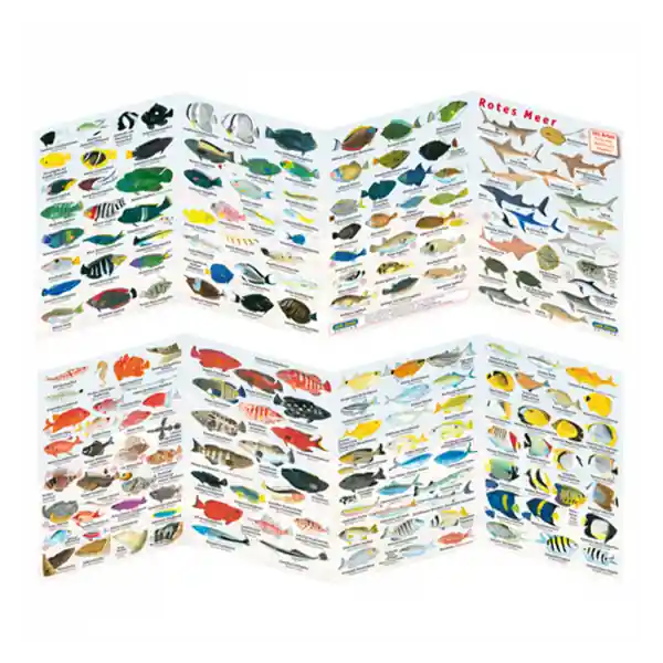 Knallerangebot Fischfaltblatt - rotes Meer