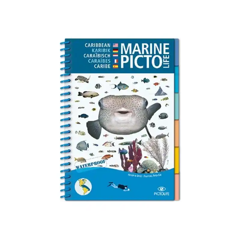 Ausverkauf Pictolife - Bestimmungsbuch - Karibik