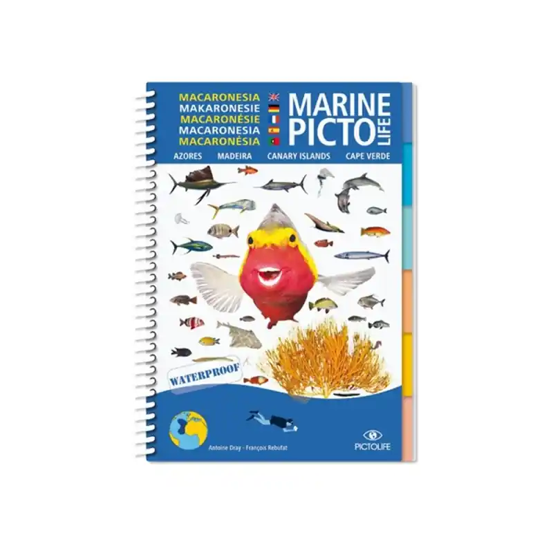 Schneller Versand Pictolife- Bestimmungsbuch - Makronesien
