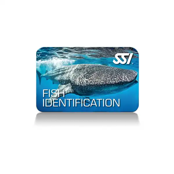 Direkt Vom Hersteller Fish Identification (Online-Kurs)